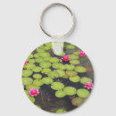 Buscar lilypads Lílypad