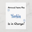 Buscar yorkshire postales Perro