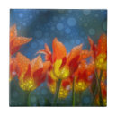 Buscar tulipanes azules azulejos Primavera