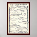 Buscar zapatillas de deporte posters Deportes