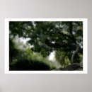 Buscar tel posters Árbol
