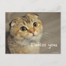 Buscar doblez postales Para todos