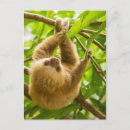 Buscar abajo postales Adorable
