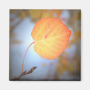 Buscar hoja imanes Hojas de otoño