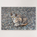 Buscar almohadas puzzles 9 º gata