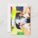 Buscar del galgo postales Rescate