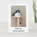Buscar mascota enfermo tarjetas Gato