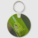 Buscar rana verde llaveros Naturaleza