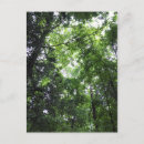 Buscar bosques postales Rural