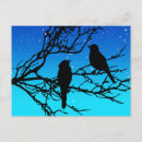 Buscar vida nocturna postales Cielo nocturno