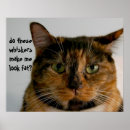 Buscar barbas del gato General y unisex
