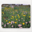 Buscar norteamérica alfombrillas de raton Usa