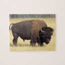 Buscar bisontes puzzles Vida silvestre