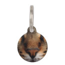 Buscar gato accesorios Animal