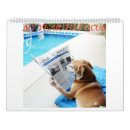 Buscar perro calendarios Animal