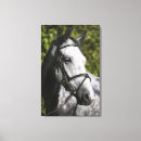 Buscar cabeza de caballo lienzos Naturaleza