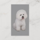 Buscar bichon tarjetas de visita Frise del bichon
