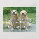 Buscar camaleón divertido postales Humor