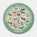 Buscar colibri imanes Colibrí