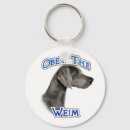 Buscar obediencia accesorios Akc