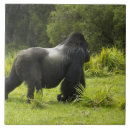 Buscar mcdonald azulejos Rwanda