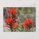 Buscar estado de wyoming postales Flor