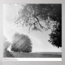 Buscar fiat arte Fotografía