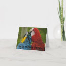 Buscar macaws tarjetas e invitaciones Vida silvestre