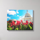Buscar washington lienzos Exterior constructivo