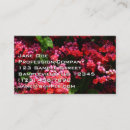 Buscar corazones coloridos tarjetas de visita General y unisex