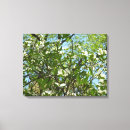 Buscar ramas de árbol lienzos Naturaleza