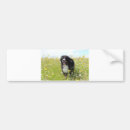 Buscar tarjeta pegatinas parachoque Perro