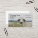 Buscar toros tarjetas de visita Vacas