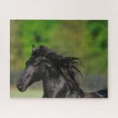 Buscar cabeza de caballo puzzles Friesio