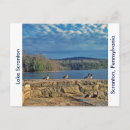 Buscar ducks postales Naturaleza