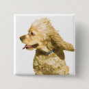 Buscar cocker spaniel chapas Animal