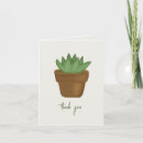 Buscar planta suculenta tarjetas Suculento