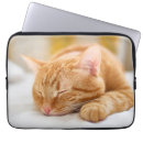 Buscar gato del bebé fundas Gatito