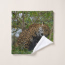 Buscar onca Gran gato