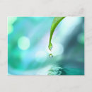 Buscar anita postales Para todos