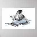 Buscar aviación militar posters Jet