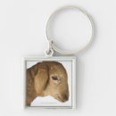 Buscar cordero lindo llaveros Animal