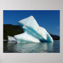 Buscar forastero posters Naturaleza
