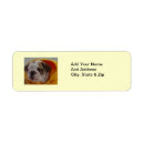 Buscar funny dog etiquetas Puppy