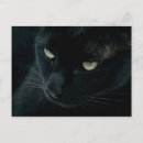 Buscar gato de pantera negra postales Felino
