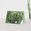 Buscar actividad tarjetas General y unisex