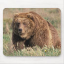 Buscar hábitat alfombrillas de raton Entorno