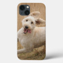 Buscar raza ipad fundas Goldendoodle