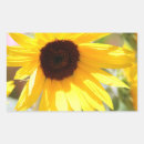 Buscar digital rectangulares pegatinas Fotografía