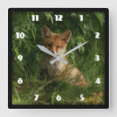 Buscar cara animal arte Fotografía